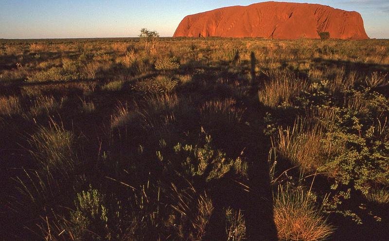 WT 0400 093-21 Australia.jpg